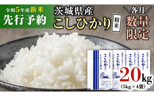 新米 先行予約 / 11月下旬出荷分】《 令和5年産 》茨城県産 コシヒカリ ...