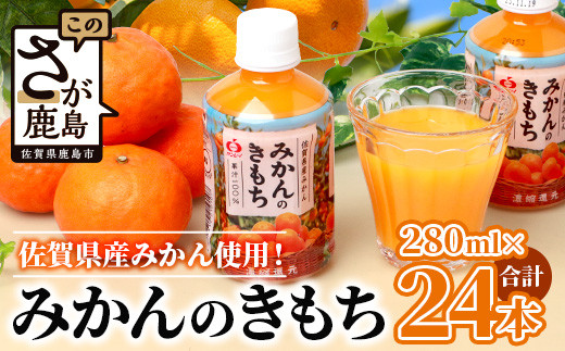 ふるさと納税 佐賀市 みかんのきもち 24本(佐賀市)-