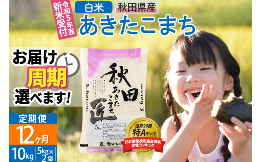 白米】《米定期便12ヶ月》秋田県産 あきたこまち 10kg (5kg×2袋)×12回