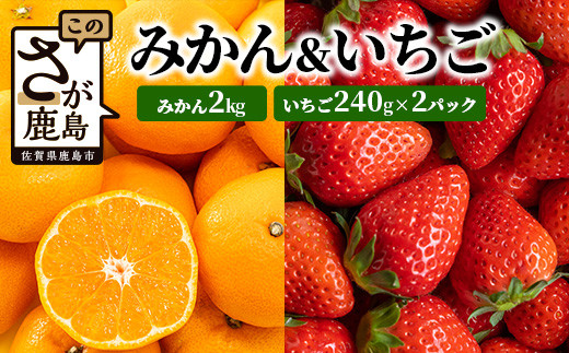 予約受付】【目利きのプロが厳選】佐賀県産みかん約2kg＆イチゴ セット