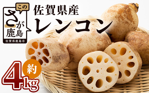 sd1_ec449d7e6917cb9f737a7e6181