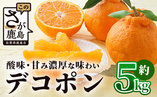 基準クリアの高級柑橘【デコポン】約5kg 不知火 しらぬい でこぽん