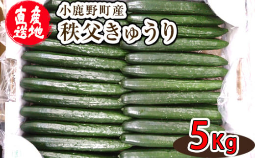 No.051 小鹿野町産秩父きゅうり（5Kg） ／ 野菜 キュウリ 胡瓜 埼玉県 特産品