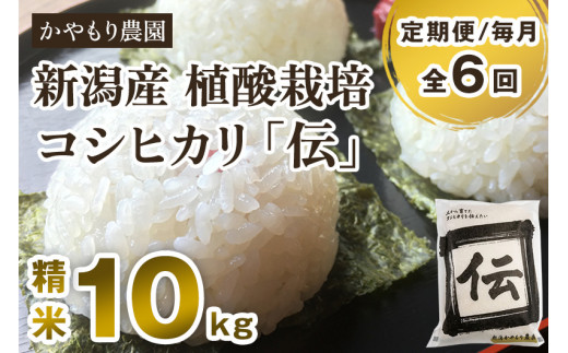 【定期便6ヶ月毎月お届け】新潟産コシヒカリ「伝」白米真空パック 精米10kg（5kg×2）南麻布の高級料亭で提供される極上米 かやもり農園