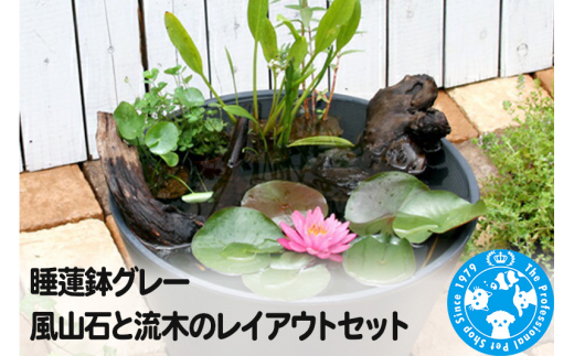 三河焼　めだか鉢　水連鉢　直径50cm 三河焼 めだか鉢 水連鉢 直径50cm （メダカ元気 メダカのための