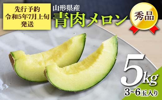 先行予約・令和5年7月上旬発送】山形県産 青肉メロン 5kg （約3～6玉