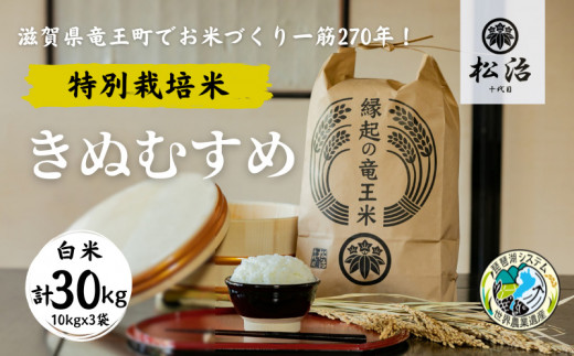 定期便【令和5年産新米先行予約】 270年続くお米農家が作った特別