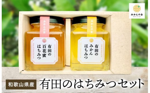 非加熱、純粋はちみつ】希少蜂蜜 みかん蜜600g×6本 3600g - その他