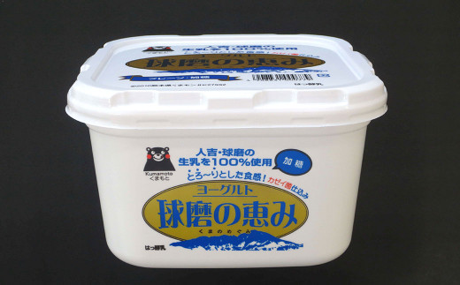 ふるさと納税 熊本県 人吉市 【6ヶ月定期便】球磨の恵み ヨーグルト