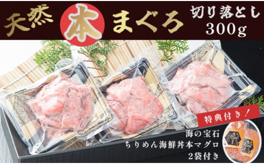 天然 本まぐろ 切り落とし セット 切り落とし300g 海の宝石 ちりめん海鮮丼本マグロ 2袋 特典付き プロトン冷凍 解凍レシピ付 舞鶴産 京都  刺身 日本海 マグロ 海鮮 海産物 魚