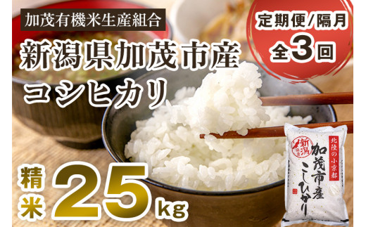 【定期便3回隔月お届け】新潟県加茂市産コシヒカリ 精米25kg（5kg×5）白米 加茂有機米生産組合