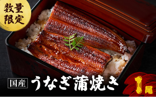 y䌧ዷzዷ̉V̂Ȃ̊Ă1yY@ʌz [5580-0160]