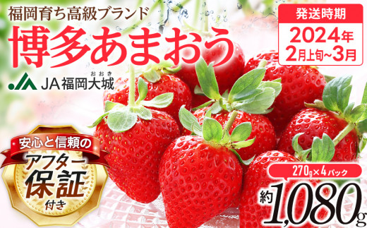 高級苺！！福岡県産【あまおう】グランデorデラックス5Lサイズ1 4パック7箱