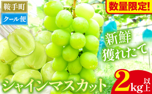 【数量限定】シャインマスカット 2kg以上 3房以上 先行予約 数量限定 直鞍農業協同組合 営農センター 《8月中旬-9月中旬頃より順次出荷》  シャインマスカット マスカット 果物 フルーツ 送料無料