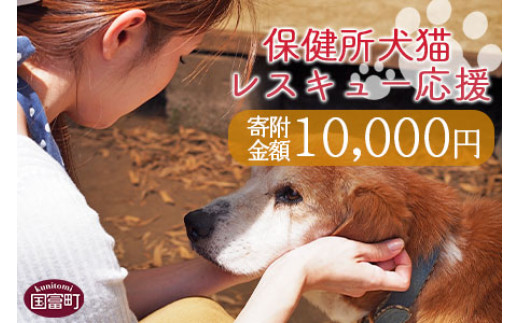 うちのこ肖像画 売り上げの一部を地元の犬猫保護団体に寄付させて頂き