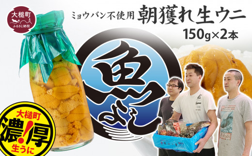 令和7年発送先行予約】朝獲れ 生うに牛乳瓶 150g×2本［08］【2025年4月下旬～8月発送】 - 岩手県大槌町｜ふるさとチョイス -  ふるさと納税サイト