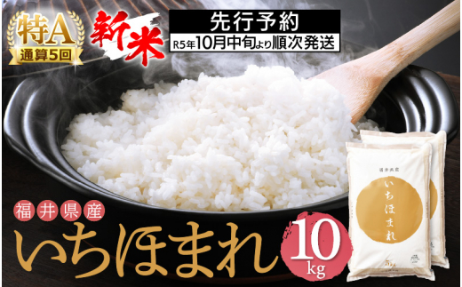 無洗米　10キロ　お米　新米　精米済み　米　精米　10kg