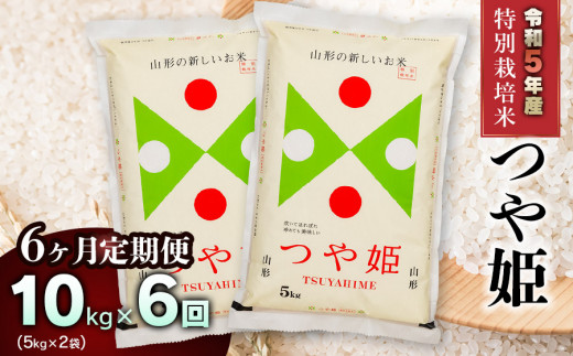 お米令和３年新米　山形県庄内産　つや姫　白米10kg　Ｇセレクション　特別栽培米