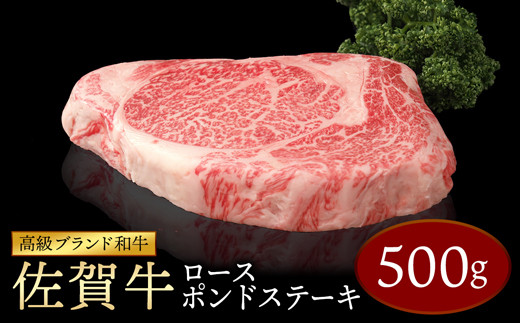 お家が焼肉専門店に!!焼肉セット9種盛【サーロイン・ウチモモ・イチボ