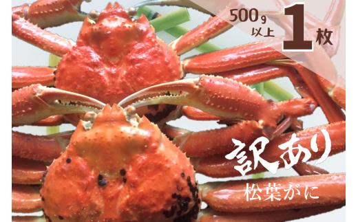 殻付き足-3kg(冷凍)　蟹の本場、山陰境港産