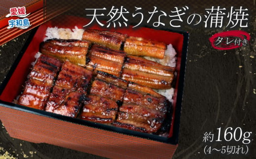 天然 うなぎ の 蒲焼 約 160g 料理田むら 鰻 うなぎ 天然うなぎ 天然鰻 天然 かば焼き 本格 タレ付き 国産うなぎ 蒲焼 うな重 ひつまぶし  かばやき 真空パック 湯煎 簡単調理 高級 国産 愛媛 宇和島 D020-140001 - 愛媛県宇和島市｜ふるさとチョイス - ふるさと納税サイト