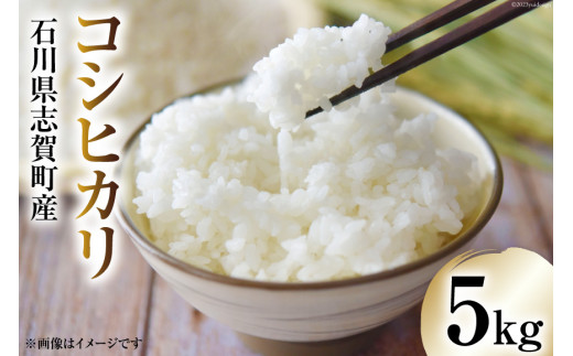 yΐ쌧u꒬zyߘa7NYz RVqJ 5kg [g~̗ ΐ쌧 u꒬ CB4034]  Ђ   R    ͂ Sn 5L