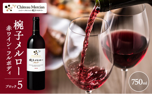 y쌧cszVg[EV@oq[@ubN5@ [5312-0423]