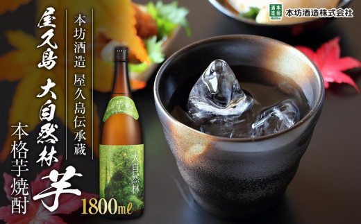 屋久島 大自然林 芋 1,800ml 1本（本格芋焼酎）＜本坊酒造 屋久島伝承