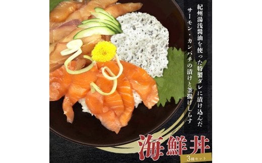 紀州湯浅醤油を使ったサーモンとカンパチの漬け＆釜揚げしらすの 海鮮丼 ３種セット×2 計600g | 冷凍 漬け丼 シラス  ※北海道・沖縄・離島への配送不可