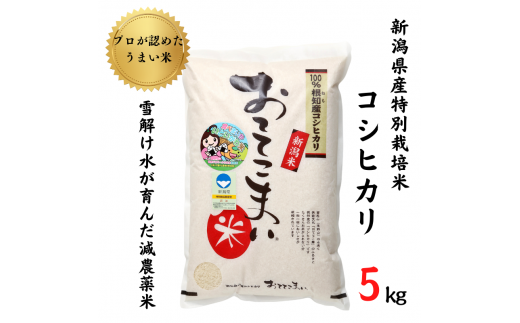 令和6年産新米予約 新潟県産 コシヒカリ 5kg 特別栽培米『おててこ米』農家直送 100％根知谷産 専門家お墨付き 2024年産【糸魚川市 白米  減農薬 こしひかり コメ お米 ご飯 ライス ブランド米 おにぎり ふるさと納税米 5キロ 先行予約】 - 新潟県糸魚川市｜ふるさと ...