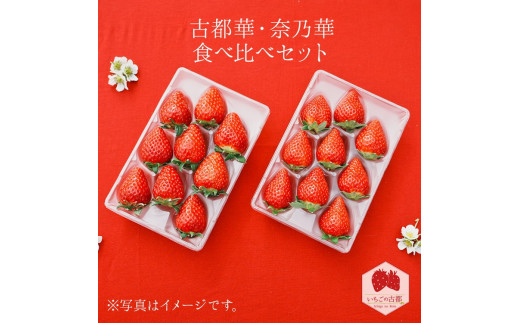 【奈良県橿原市】【先行予約・数量限定】【奈良県知事賞受賞】【食べ比べセット】古都華(ことか)1パック・奈乃華1パック|とのあさイチゴ農園 ※2026年1月中旬〜5月上旬頃に順次発送予