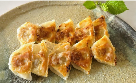 yꌧzuuv ߍ] ЂƂ Lq 160i20×8j