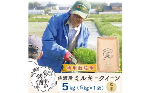 佐渡島産】特別栽培米 ミルキークイーン 玄米5Kg×1袋 令和4年産 - 新潟