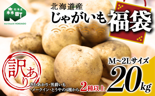 先行予約】【訳あり】北海道森町産 じゃがいも福袋20kg （2025年8月上旬～12月中旬までに順次お届け） 野菜 ジャガイモ じゃがいも きたあかり  だんしゃく 男爵いも とうや メークイン ポテト 北海道 セット 詰め合わせ 福袋 送料無料 mr1-0145 - 北海道森町｜ふるさと ...