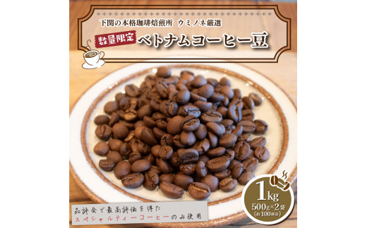 訳あり コーヒー豆 1kg ( 500g × 2袋 ) 数量限定 選べる 挽き方