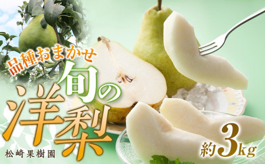 ふるさと納税 宮城県 角田市 【松崎果樹園】2ヶ月連続お届け 旬の