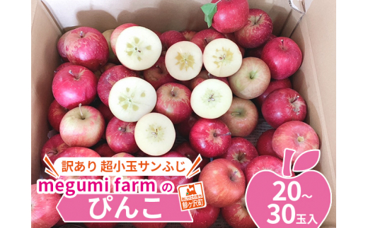 青森県鰺ヶ沢町産りんご megumi farmのぴんこ【訳あり 超小玉サンふじ