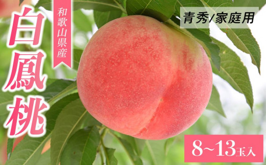 ふるさと納税 先行販売！ 白鳳　桃の王様！食べきりやすい３個入りこだわり農家厳選 【KG17.. 和歌山県高野町