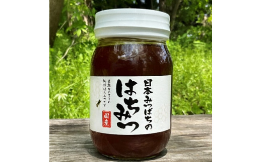 ＜青森県十和田市産＞日本みつばち蜂蜜550g【1414003】