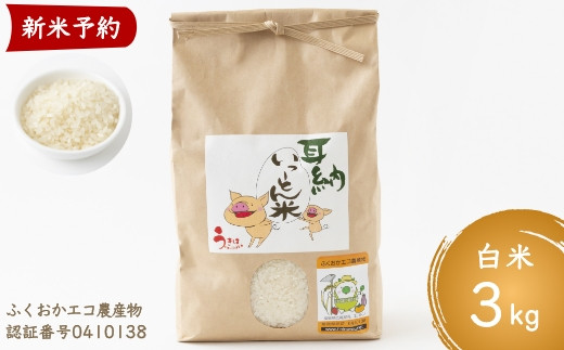 E402-10 【定期便】みずほファーム UKIHA RICE 10kg×12ヶ月