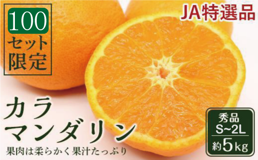 先行受付】JAえひめ中央 ☆100セット限定☆JA特選品 カラマンダリン 秀