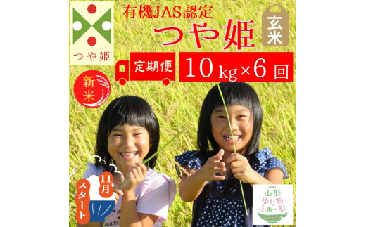 ふるさと納税 山形県 三川町 【令和5年産・精米】大沼ファームの特別