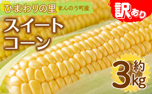 y쌧܂̂zs\I2026N6{ȍ~\聄󂠂EƒpCG[R[(3kg) yman114Eman115zyAglio neroz