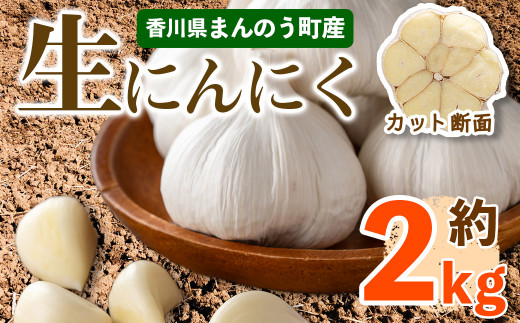 □＜2022年5月上旬以降順次発送予定＞香川県産 生にんにく(約2kg) 【man068】【Aglio nero】 - 香川県まんのう町｜ふるさとチョイス  - ふるさと納税サイト