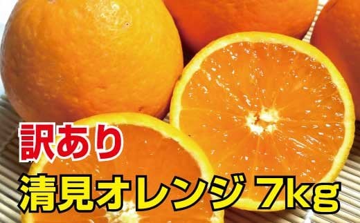 【訳あり】清見オレンジ　約7kg　ご家庭用　※2022年3月上旬より順次発送予定（お届け日指定不可）※北海道・沖縄・離島への配送不可