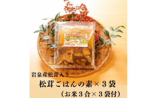 70％OFF】 松京都舞鶴産松茸 - 食品