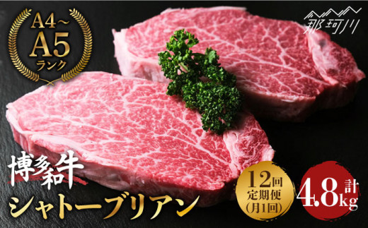 全6回定期便】希少部位！ 博多和牛 牛肉 ヒレ シャトーブリアン 400g