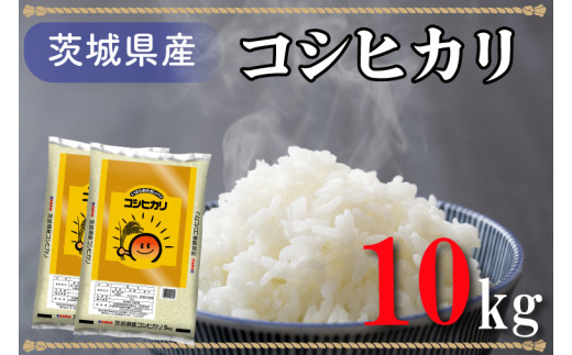 ♦︎★送料無料★♦︎令和5年産コシヒカリ　10kg 茨城県 コシヒカリ 数量限定セール 米 10kg お米 6年産 茨城県産 送料