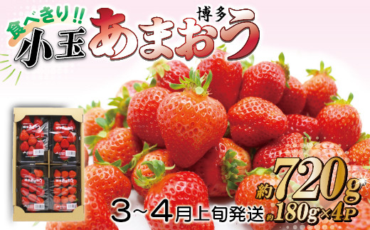 JAむなかた直送！食べきりサイズ「博多あまおう」約180g×4パック 2L11