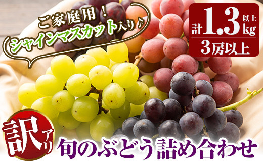 A0-248 ＜期間限定！2024年8月下旬～10月末までに発送予定＞《訳あり・数量限定》シャインマスカット入り旬のぶどう ・ご家庭用詰め合わせ(計1.3kg以上・3房以上)【二月田ぶどう園】 - 鹿児島県霧島市｜ふるさとチョイス